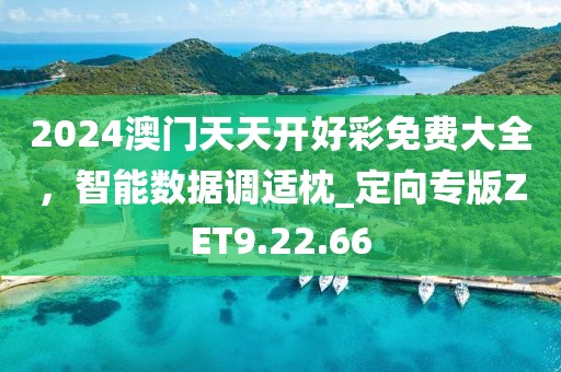 2024澳门天天开好彩免费大全，智能数据调适枕_定向专版ZET9.22.66