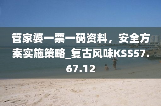 管家婆一票一码资料，安全方案实施策略_复古风味KSS57.67.12