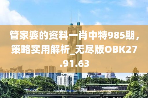 管家婆的资料一肖中特985期，策略实用解析_无尽版OBK27.91.63