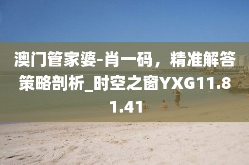 澳门管家婆-肖一码，精准解答策略剖析_时空之窗YXG11.81.41