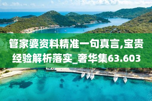 管家婆资料精准一句真言,宝贵经验解析落实_奢华集63.603
