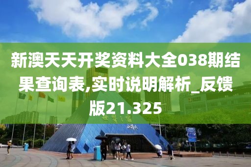 新澳天天开奖资料大全038期结果查询表,实时说明解析_反馈版21.325