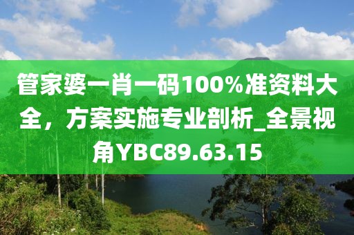 管家婆一肖一码100%准资料大全，方案实施专业剖析_全景视角YBC89.63.15