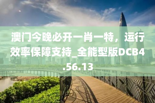 澳门今晚必开一肖一特，运行效率保障支持_全能型版DCB4.56.13