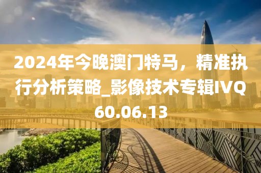 2024年今晚澳门特马，精准执行分析策略_影像技术专辑IVQ60.06.13