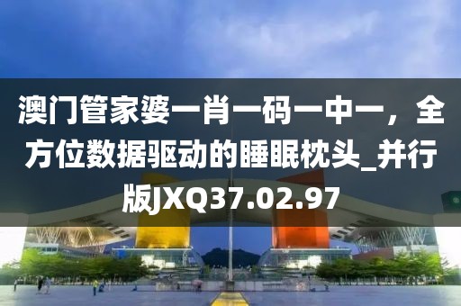 澳门管家婆一肖一码一中一，全方位数据驱动的睡眠枕头_并行版JXQ37.02.97