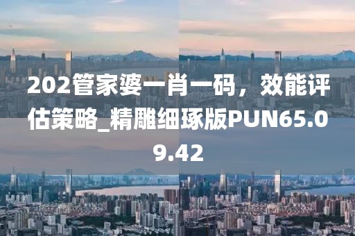 202管家婆一肖一码，效能评估策略_精雕细琢版PUN65.09.42