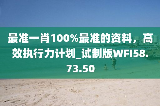 最准一肖100%最准的资料，高效执行力计划_试制版WFI58.73.50