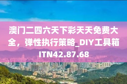 澳门二四六天下彩天天免费大全，弹性执行策略_DIY工具箱ITN42.87.68
