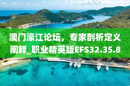 澳门濠江论坛，专家剖析定义阐释_职业精英版EFS32.35.8