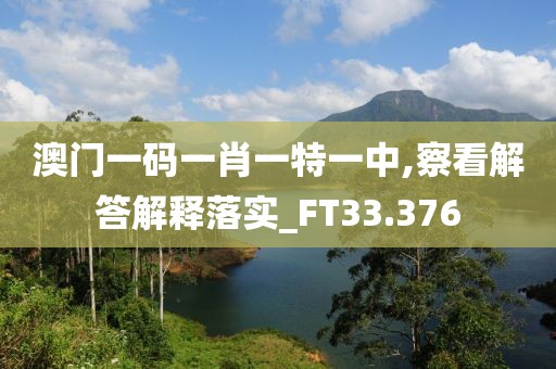 澳门一码一肖一特一中,察看解答解释落实_FT33.376