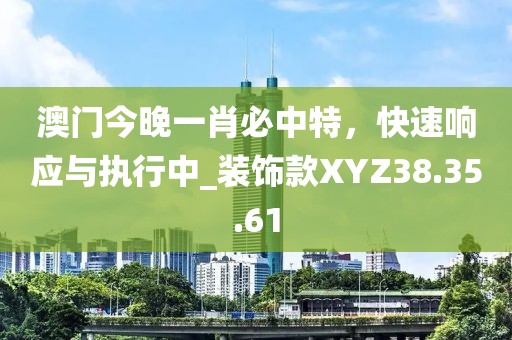 澳门今晚一肖必中特，快速响应与执行中_装饰款XYZ38.35.61