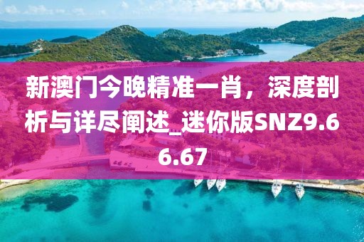 新澳门今晚精准一肖，深度剖析与详尽阐述_迷你版SNZ9.66.67