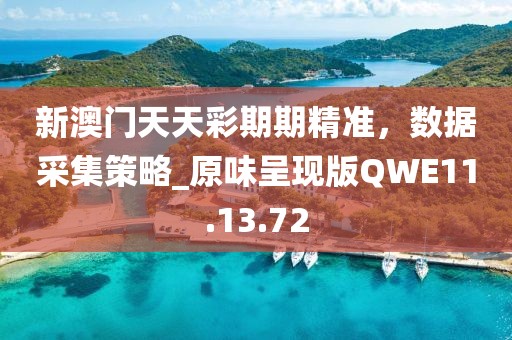 新澳门天天彩期期精准，数据采集策略_原味呈现版QWE11.13.72