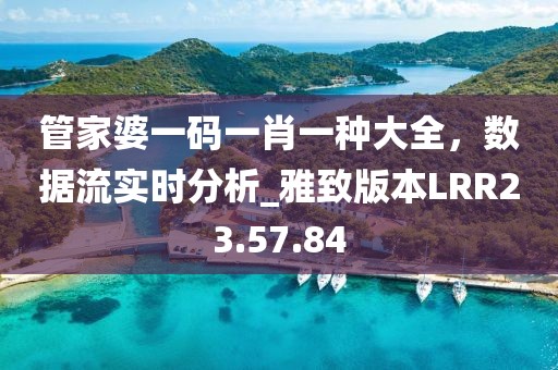 管家婆一码一肖一种大全，数据流实时分析_雅致版本LRR23.57.84