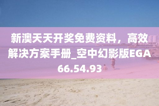 新澳天天开奖免费资料，高效解决方案手册_空中幻影版EGA66.54.93