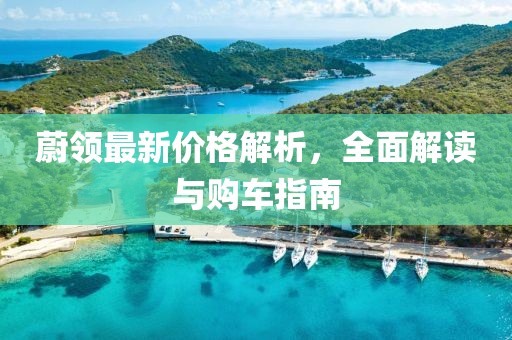 蔚领最新价格解析，全面解读与购车指南