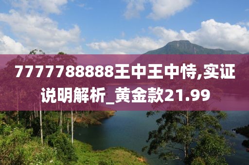 7777788888王中王中恃,实证说明解析_黄金款21.99