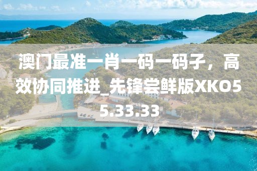 澳门最准一肖一码一码孑，高效协同推进_先锋尝鲜版XKO55.33.33