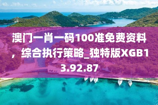澳门一肖一码100准免费资料，综合执行策略_独特版XGB13.92.87