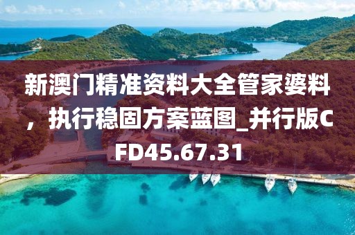 新澳门精准资料大全管家婆料，执行稳固方案蓝图_并行版CFD45.67.31