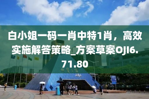 白小姐一码一肖中特1肖，高效实施解答策略_方案草案OJI6.71.80