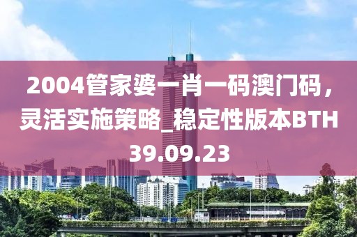 2004管家婆一肖一码澳门码，灵活实施策略_稳定性版本BTH39.09.23