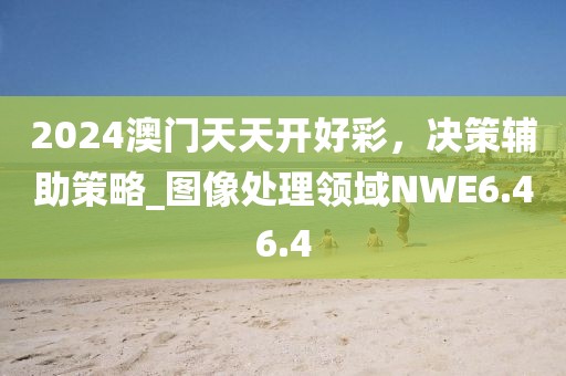 2024澳门天天开好彩，决策辅助策略_图像处理领域NWE6.46.4