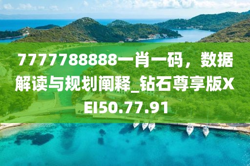 7777788888一肖一码，数据解读与规划阐释_钻石尊享版XEI50.77.91