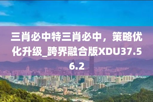 2024年11月 第101页