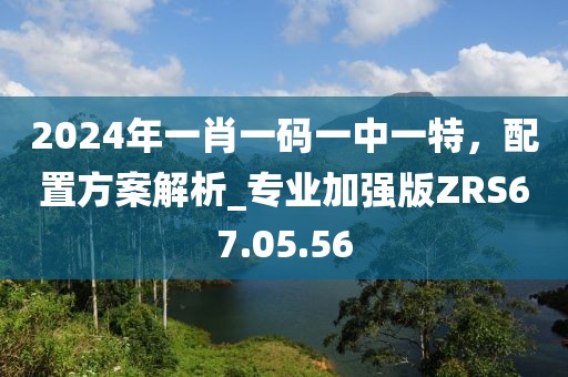 2024年一肖一码一中一特，配置方案解析_专业加强版ZRS67.05.56