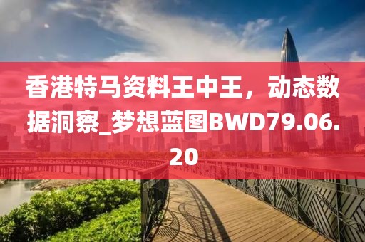 过往 第57页