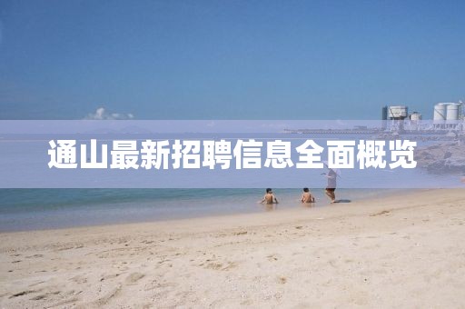 新澳门天天开好彩大全 第81页