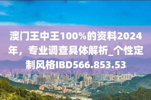 澳门王中王100%的资料2024年，专业调查具体解析_个性定制风格IBD566.853.53