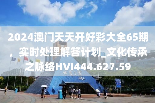 2024澳门天天开好彩大全65期，实时处理解答计划_文化传承之脉络HVI444.627.59