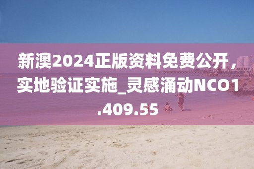 新澳2024正版资料免费公开，实地验证实施_灵感涌动NCO1.409.55