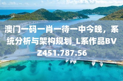 澳门一码一肖一待一中今晚，系统分析与架构规划_L系作品BVZ451.787.56