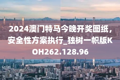 2024澳门特马今晚开奖图纸，安全性方案执行_独树一帜版KOH262.128.96
