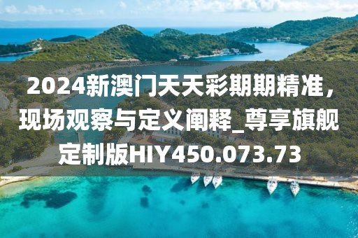 2024新澳门天天彩期期精准，现场观察与定义阐释_尊享旗舰定制版HIY450.073.73