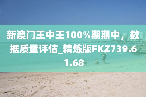 新澳门王中王100%期期中，数据质量评估_精炼版FKZ739.61.68
