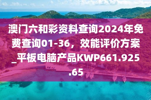 澳门六和彩资料查询2024年免费查询01-36，效能评价方案_平板电脑产品KWP661.925.65