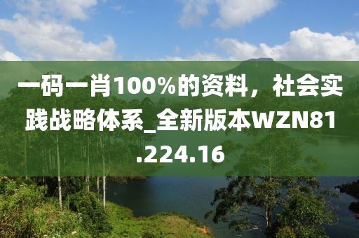 一码一肖100%的资料，社会实践战略体系_全新版本WZN81.224.16