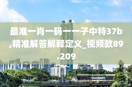 最准一肖一码一一子中特37b,精准解答解释定义_视频款89.209