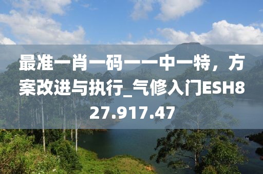 最准一肖一码一一中一特，方案改进与执行_气修入门ESH827.917.47