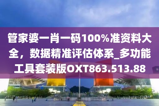 管家婆一肖一码100%准资料大全，数据精准评估体系_多功能工具套装版OXT863.513.88