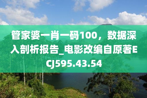 管家婆一肖一码100，数据深入剖析报告_电影改编自原著ECJ595.43.54