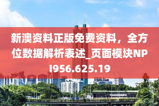 新澳资料正版免费资料，全方位数据解析表述_页面模块NPI956.625.19