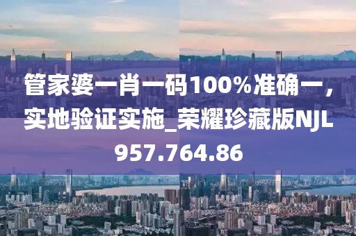 管家婆一肖一码100%准确一，实地验证实施_荣耀珍藏版NJL957.764.86