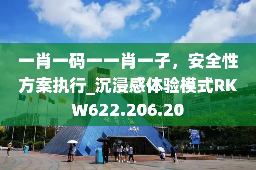 一肖一码一一肖一子，安全性方案执行_沉浸感体验模式RKW622.206.20