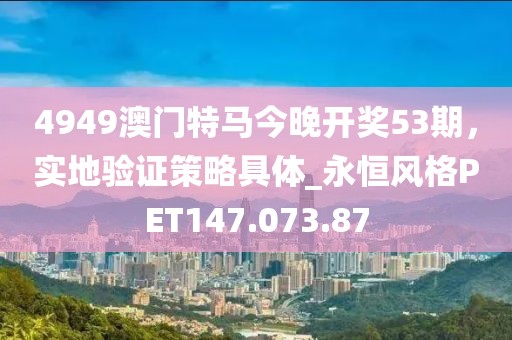 4949澳门特马今晚开奖53期，实地验证策略具体_永恒风格PET147.073.87